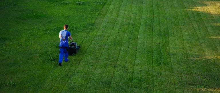 Professional lawn mowing