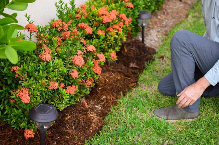 Fresh mulch installation