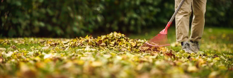 Leaf cleanup service