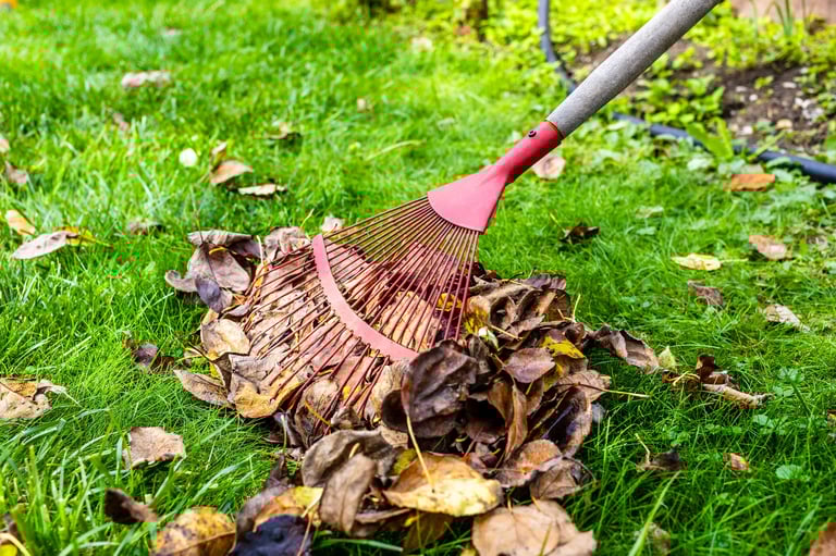 Leaf removal service